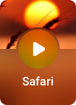 Safari