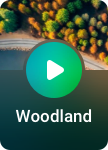 Woodland